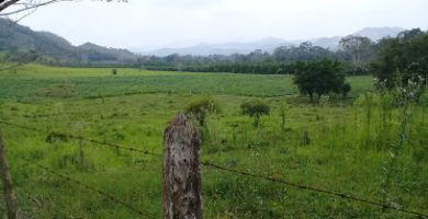 Piedra Grande El Guayabo