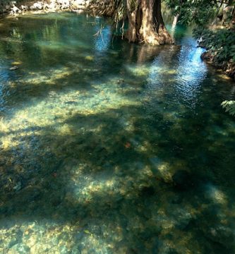 Planta Purificadora de Agua San Lucas