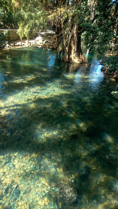 Planta Purificadora de Agua San Lucas