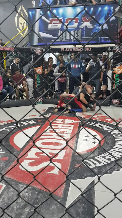 Héroes &apos;Centro de Entrenamiento de Artes Marciales Mixtas&apos;