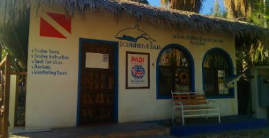 Dolphin Dive & Vive Loreto Tours