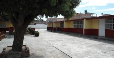 Escuela Primaria Insurgentes 11EPR0583W y vespertina Teodula Fuerte Orozco 11EPR0708N