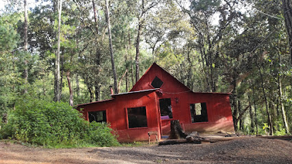 Cabañas La Cumbre San José Del Pacifico