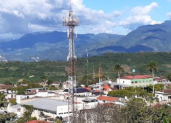 Siempre Verde Chiapas