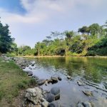 Balneario Las Garzas