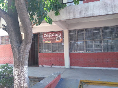 Secundaria Técnica 67