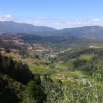 Barranca de la palma