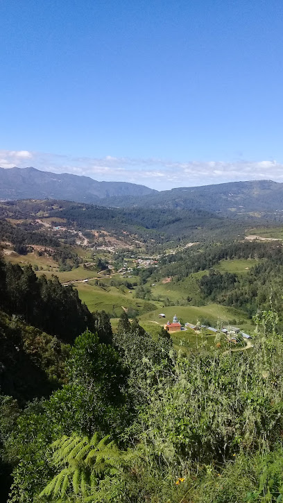 Barranca de la palma