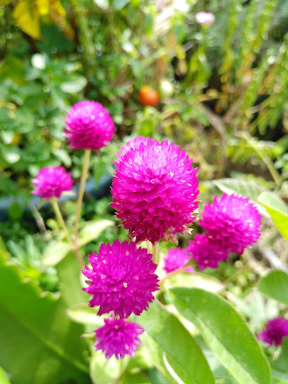 Jardin de Niños Gabriela Mistral