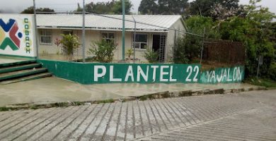 cobach plantel 22 yajalon