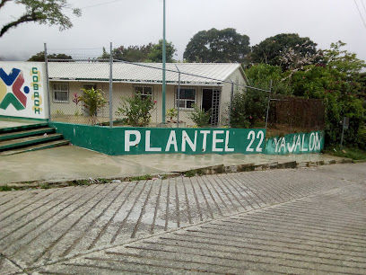 cobach plantel 22 yajalon