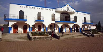 Municipio de Acuamanala de Miguel Hidalgo