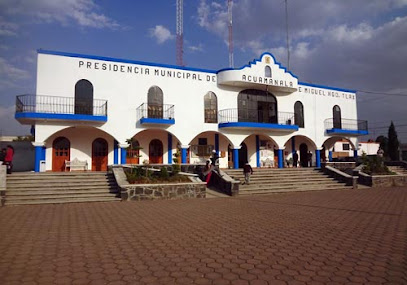 Municipio de Acuamanala de Miguel Hidalgo