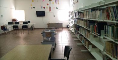 Biblioteca Municipal Palmar de Bravo