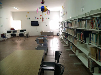 Biblioteca Municipal Palmar de Bravo