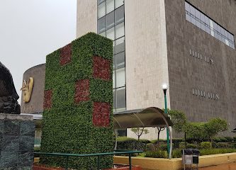 Academia Nacional de Medicina de México