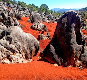 Dunas Rojas de San Francisco