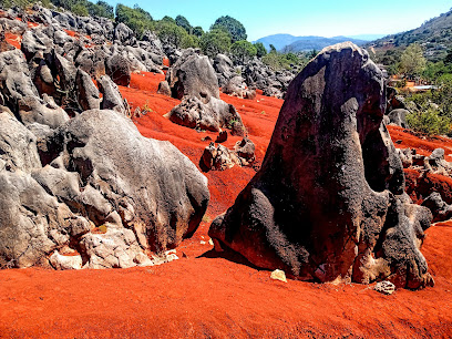 Dunas Rojas de San Francisco