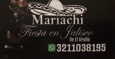 Mariachi Fiesta en Jalisco