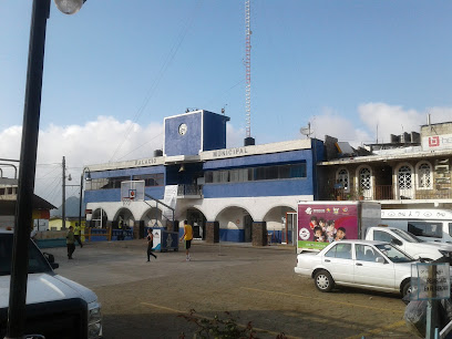 Presidencia Municipal de Tlanchinol