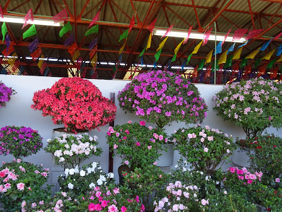 La Feria de las Flores