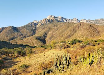 El Platanar San Martín de Bolaños