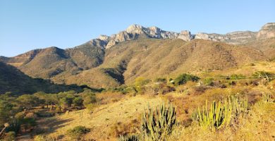 El Platanar San Martín de Bolaños