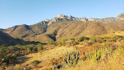 El Platanar San Martín de Bolaños