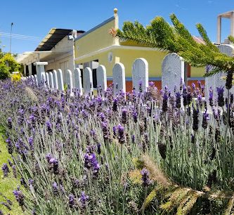 Hotel Y Beer Garden "Quinta San Antonio"