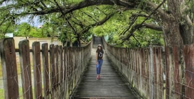 Puente Colgante Hualahuises