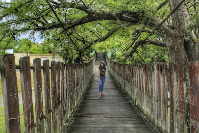 Puente Colgante Hualahuises