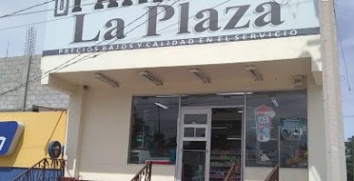 Farmacia la Plaza