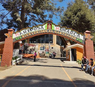 Santuario de la Mariposa Monarca El Rosario