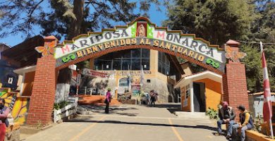 Santuario de la Mariposa Monarca El Rosario