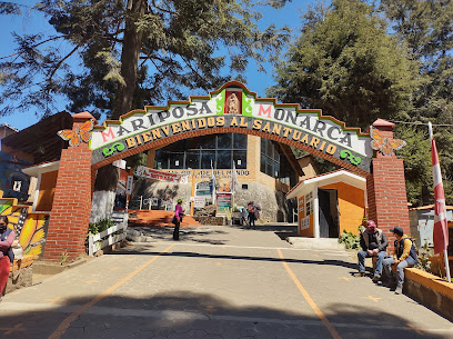 Santuario de la Mariposa Monarca El Rosario