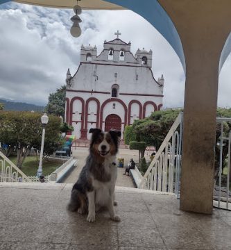 Posada Angeles