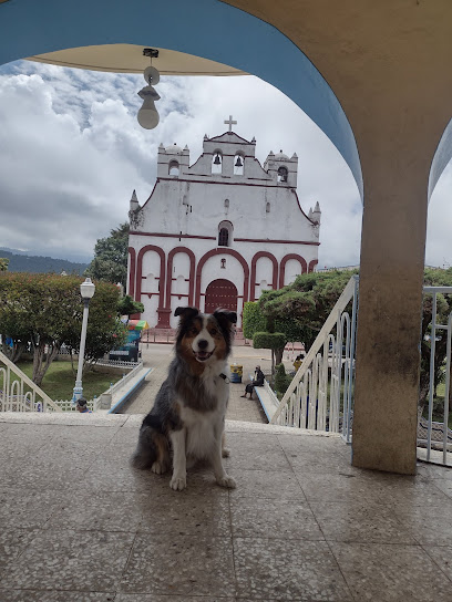 Posada Angeles