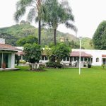 El Grullo de Tepoztlan