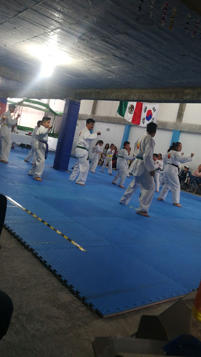 Taekwondo kyeongju Onofre Lobos Villa