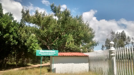 CLINICA VALLE DE SAN DIONISIO