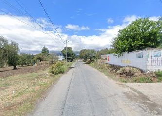 Centro De Salud Nopalucan De La Granja