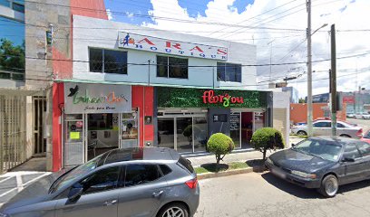 Centro de Acupuntura Fisioterapia y Nutrición