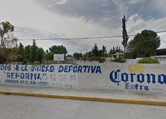 Instituto de ciencias siencias de la salud pachuca