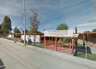 Preparatoria Salinas.