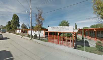 Preparatoria Salinas.