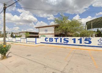 CBTIS 115