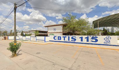 CBTIS 115