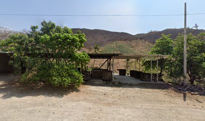 Mezcal Artesanal