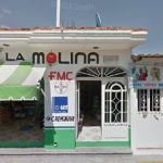 Farmacia Molina