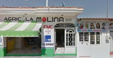 Farmacia Molina